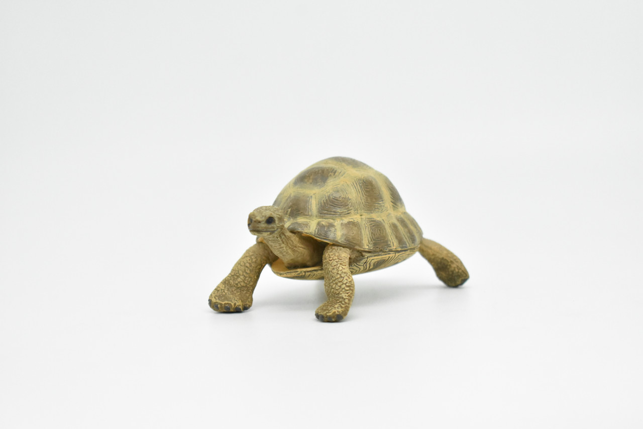 Tortoise, Turtle, Museum Quality, Rubber Reptile, Educational, Realistic Hand Painted Figure, Lifelike Figurine, Replica, Gift,        3"        CWG252 B240