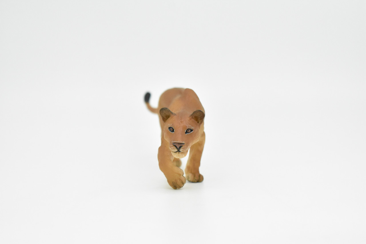 Lion, Lioness, African, Museum Quality Rubber Animal, Educational, Realistic Hand Painted Figure, Lifelike Figurine, Replica, Gift,    6 1/2"      CWG255 B240