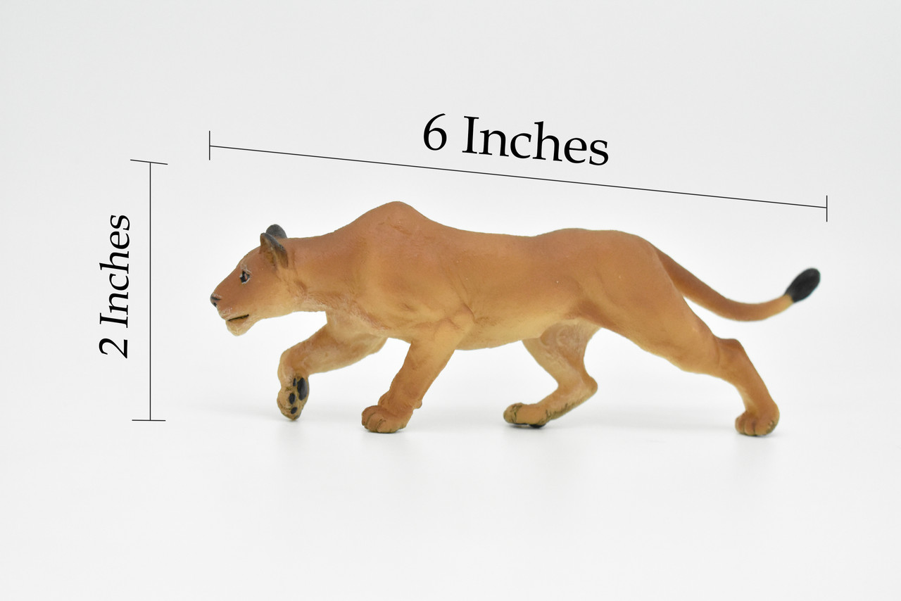 Lion, Lioness, African, Museum Quality Rubber Animal, Educational, Realistic Hand Painted Figure, Lifelike Figurine, Replica, Gift,    6 1/2"      CWG255 B240