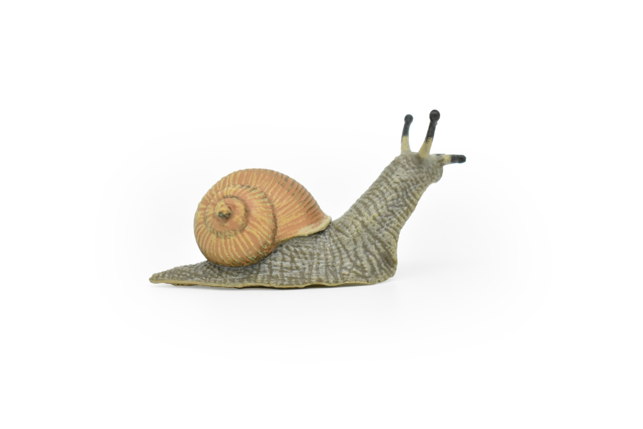 Snail, Land, Shelled Gastropod, Museum Quality Rubber Snail, Educational, Realistic Hand Painted Figure, Lifelike Figurine, Replica, Gift,    2"     CWG260 B241