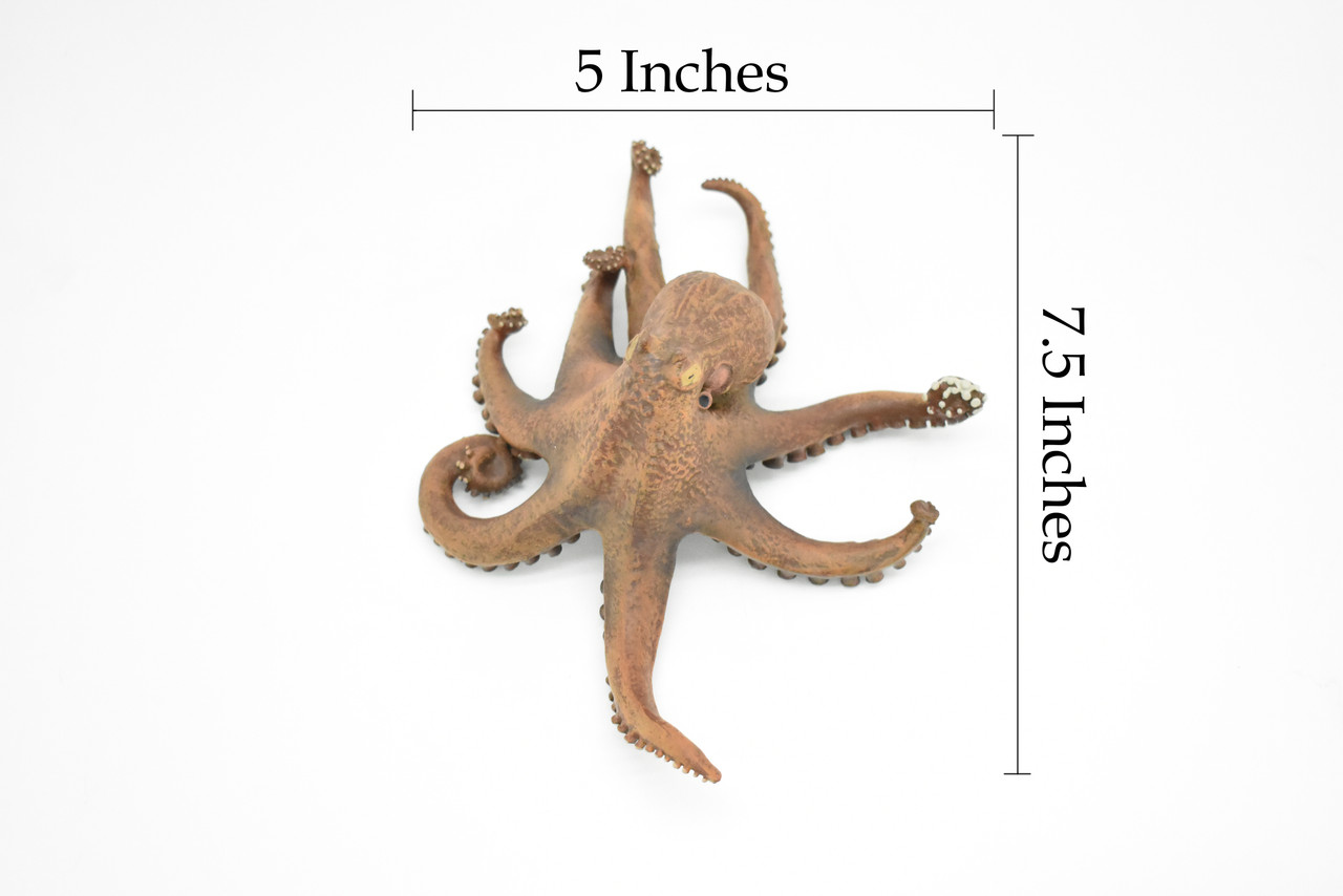Octopus, Octopodes, Museum Quality Rubber Octopodes, Educational, Realistic Hand Painted Figure, Lifelike Figurine, Replica, Gift,     7 1/2"      CWG261 B241