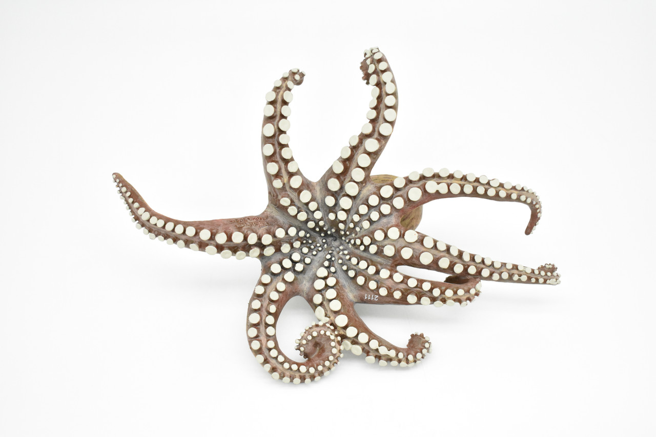 Octopus, Octopodes, Museum Quality Rubber Octopodes