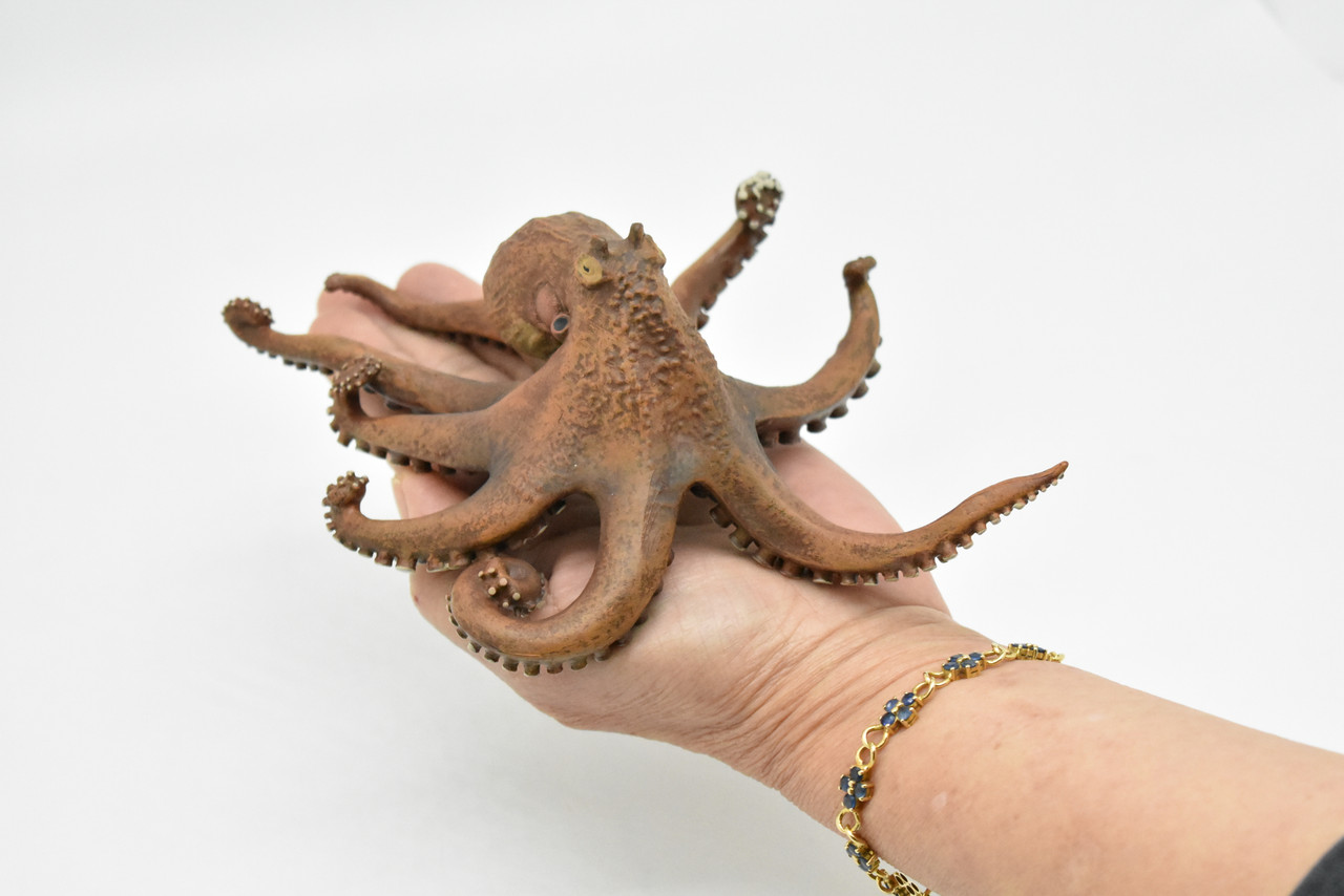 Octopus, Octopodes, Museum Quality Rubber Octopodes, Educational, Realistic Hand Painted Figure, Lifelike Figurine, Replica, Gift,     7 1/2"      CWG261 B241