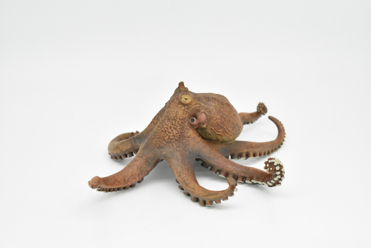 Octopus, Octopodes, Museum Quality Rubber Octopodes, Educational, Realistic Hand Painted Figure, Lifelike Figurine, Replica, Gift,     7 1/2"      CWG261 B241