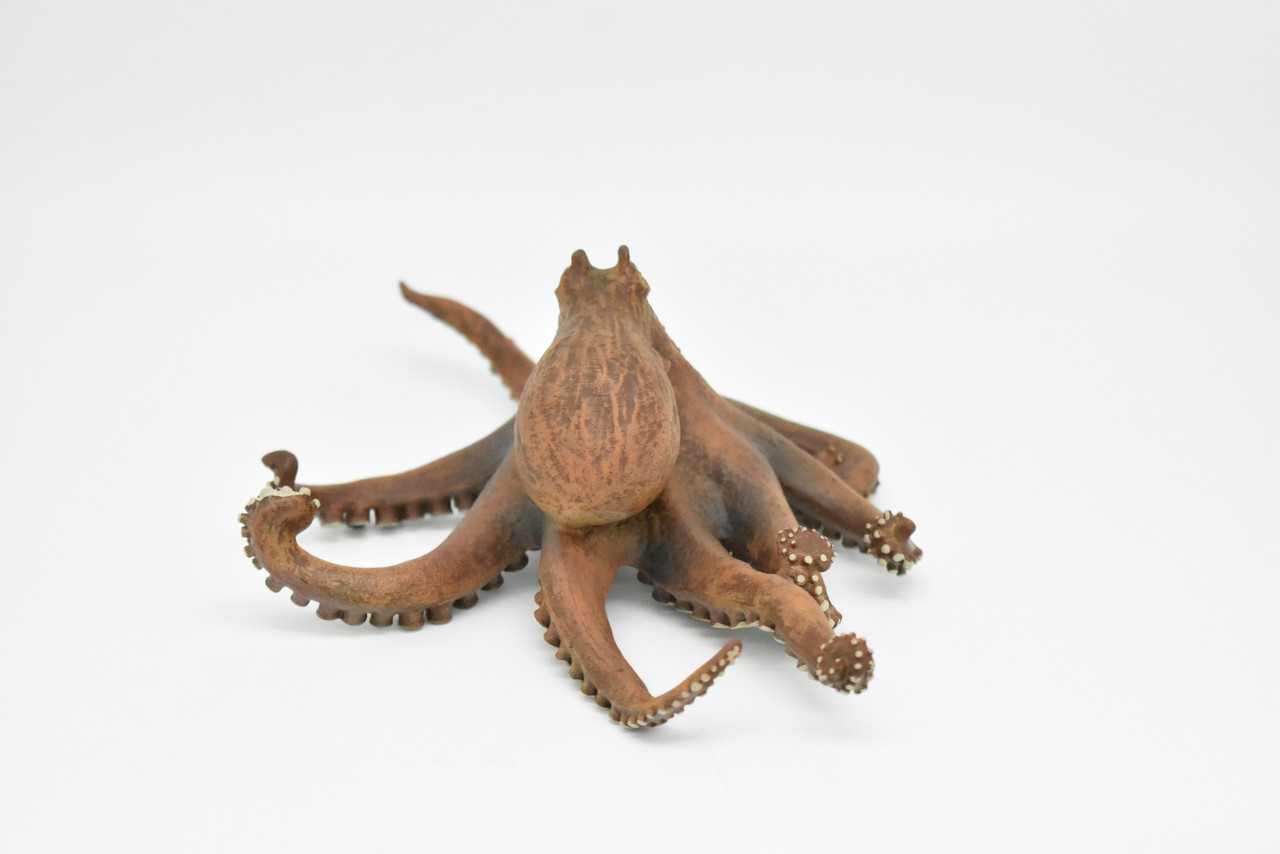 Octopus, Octopodes, Museum Quality Rubber Octopodes, Educational, Realistic Hand Painted Figure, Lifelike Figurine, Replica, Gift,     7 1/2"      CWG261 B241