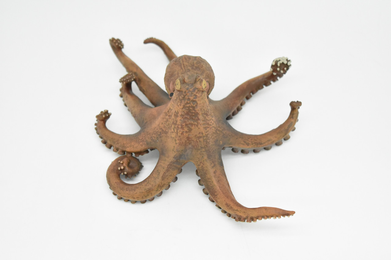 Octopus, Octopodes, Museum Quality Rubber Octopodes, Educational, Realistic Hand Painted Figure, Lifelike Figurine, Replica, Gift,     7 1/2"      CWG261 B241