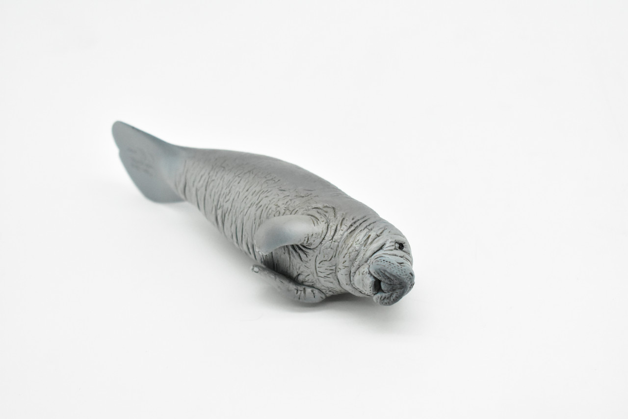 Manatee, Sea Cow, Dugong, Museum Quality Rubber Animal, Educational, Realistic Hand Painted Figure, Lifelike Figurine, Replica, Gift,     5"    CWG262 B241