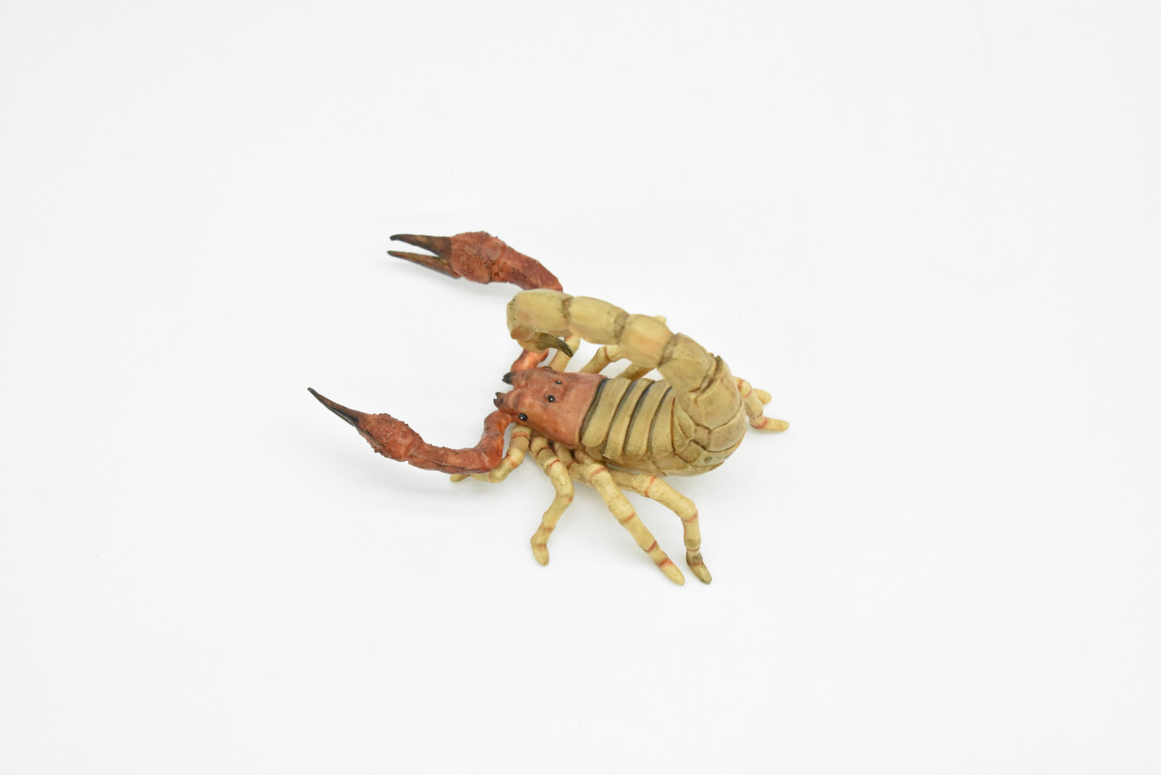 Scorpion, Scorpiones, Museum Quality Rubber Arachnids, Educational, Realistic Hand Painted Figure, Lifelike Figurine, Replica, Gift,      3 1/2"     CWG256 B240