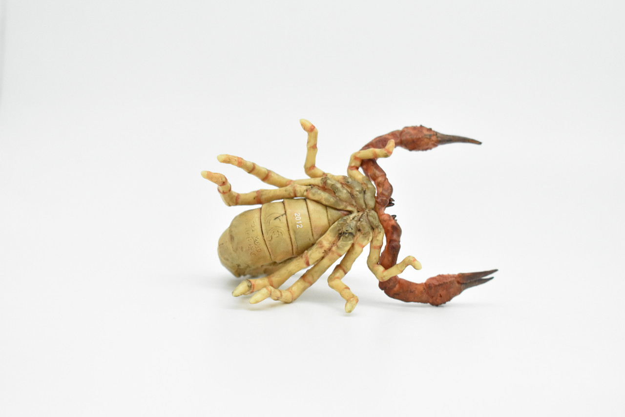 Scorpion, Scorpiones, Museum Quality Rubber Arachnids, Educational, Realistic Hand Painted Figure, Lifelike Figurine, Replica, Gift,      3 1/2"     CWG256 B240