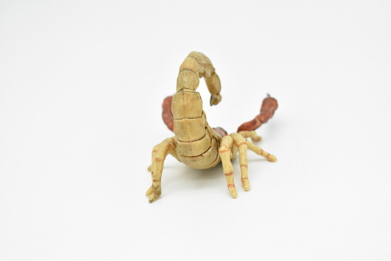 Scorpion, Scorpiones, Museum Quality Rubber Arachnids, Educational, Realistic Hand Painted Figure, Lifelike Figurine, Replica, Gift,      3 1/2"     CWG256 B240