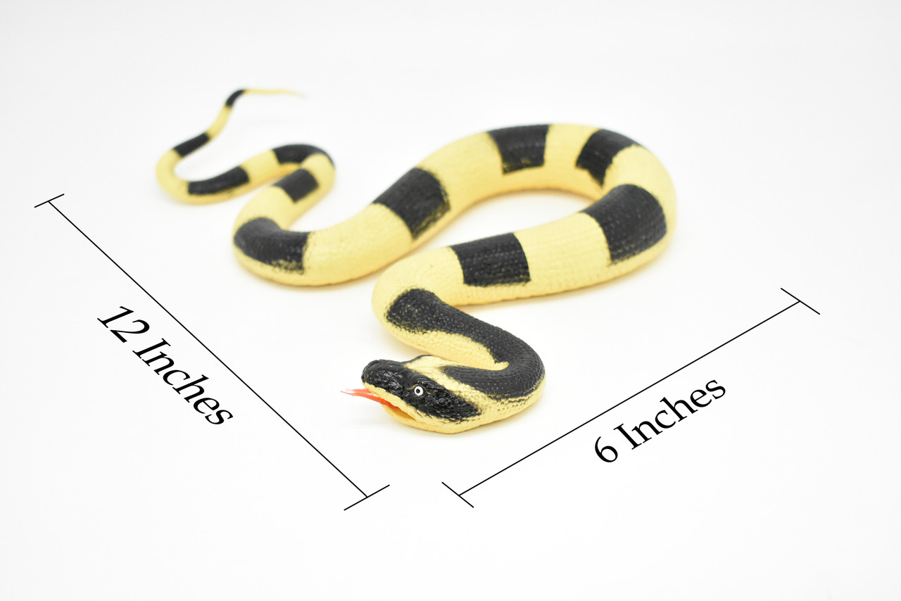 Snake, Banded Krait, Yellow and Black Snake, Coied, Rubber Reptile, Educational, Realistic Hand Painted, Figure, Lifelike Model, Figurine, Replica, Gift,       12"      F3590 B492