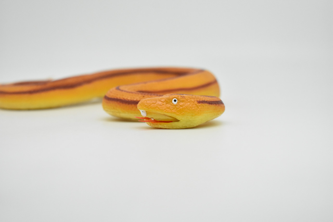 Snake, Rat Snake Toy, Orange, Red Stripes, Coied, Rubber Reptile, Educational, Realistic Hand Painted, Figure, Lifelike Model, Figurine, Replica, Gift,     12"       F3584 B492