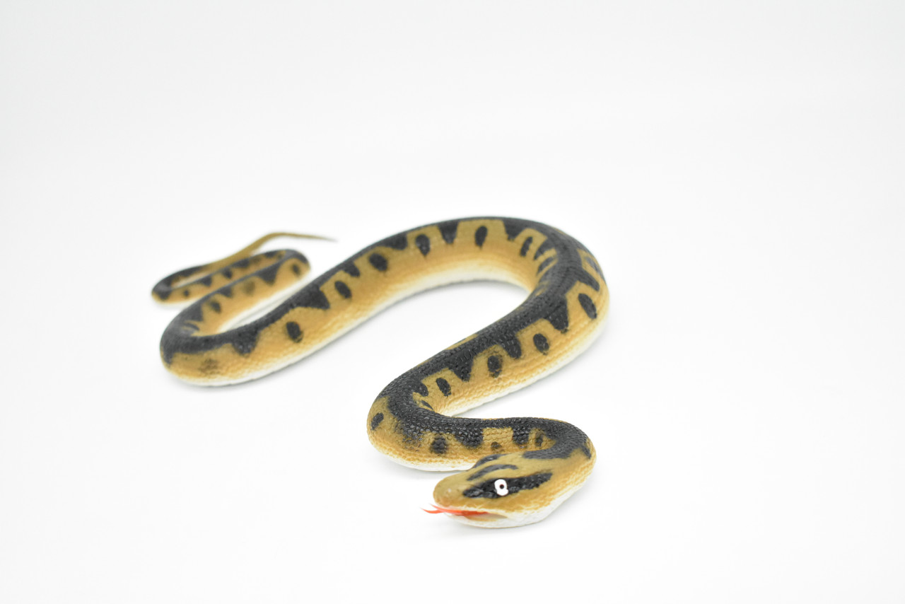 Snake, Eastern Hog nosed, Snake Toy, Coiled, Rubber Reptile, Educational, Realistic Hand Painted, Figure, Lifelike Model, Figurine, Replica, Gift,      12"      F3587 B492