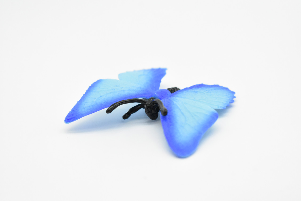 Butterfly, Blue, flexible, Very Nice Rubber Reproduction   2"    F1653 B74