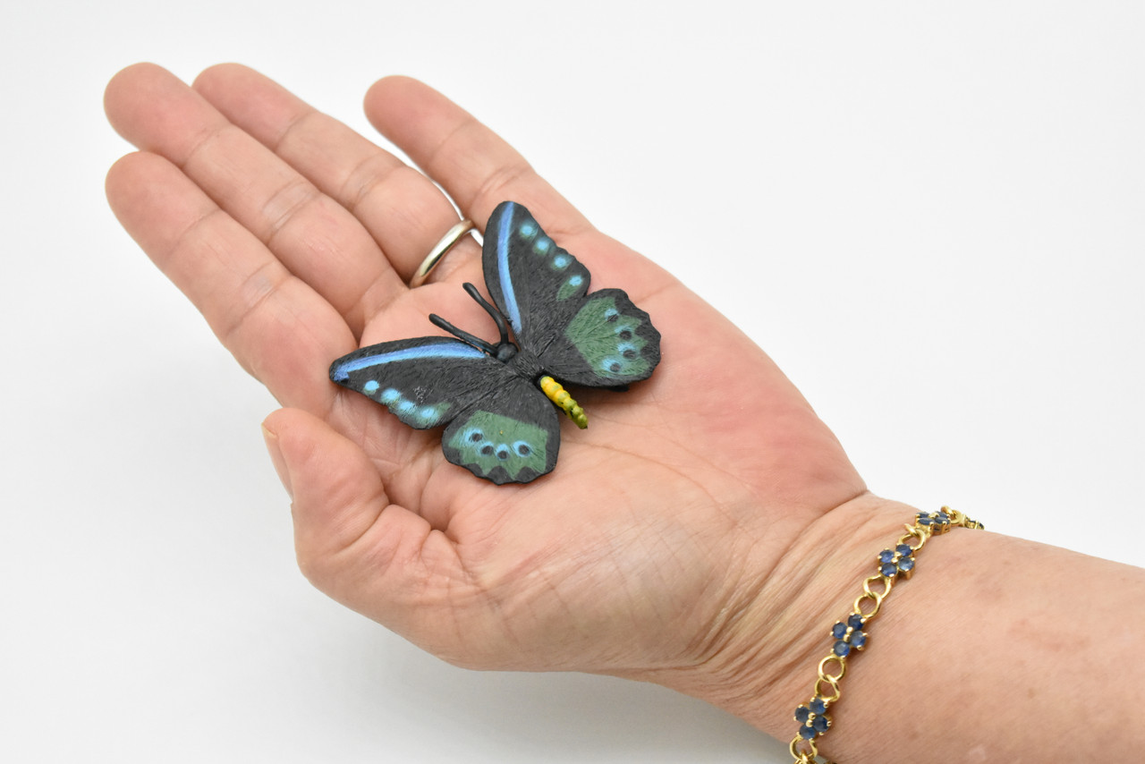 Butterfly, Black Blue & Green, Very Nice Rubber Reproduction  2"     F4490 B46