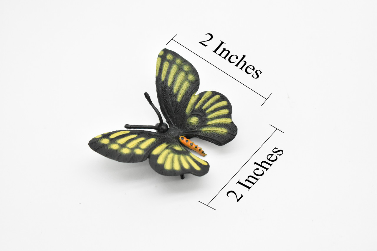 Butterfly, Black & Yellow, Very Nice Rubber Reproduction    2"    F4472 B46