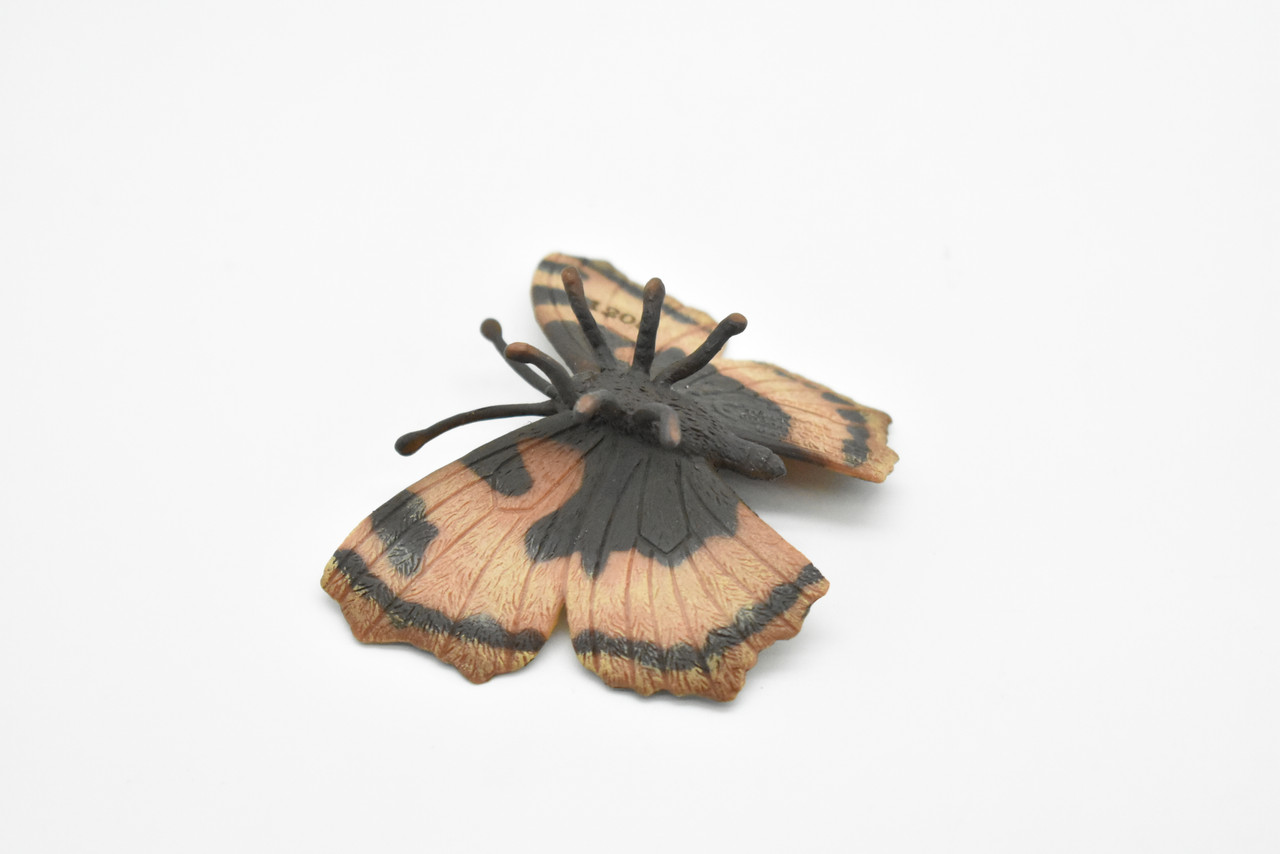 Tortoiseshell Butterfly,  Museum Quality Plastic Reproduction Hand Painted      2.5"    F8019 B115