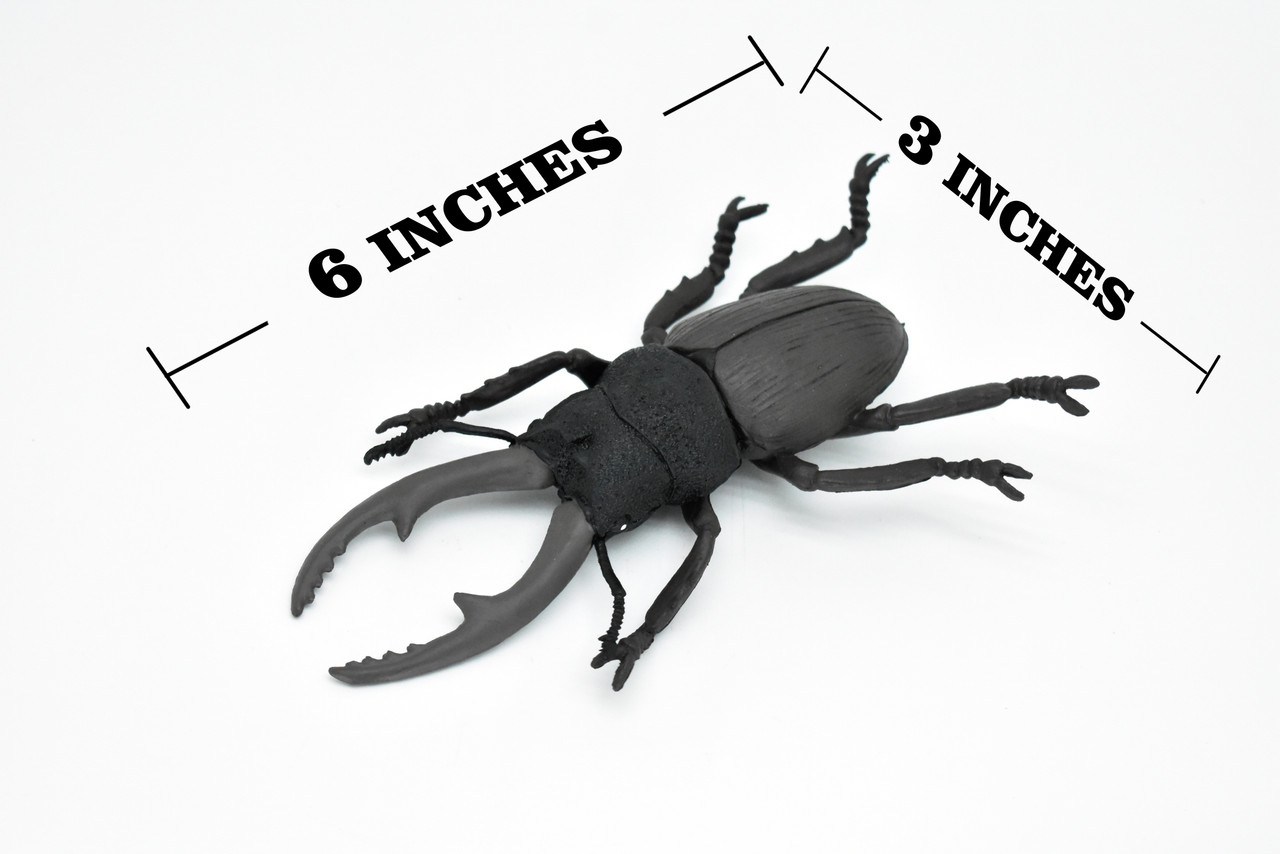 Beetle, Giant Stag, Very Nice Rubber Replica     6"   -    CWG84 B153