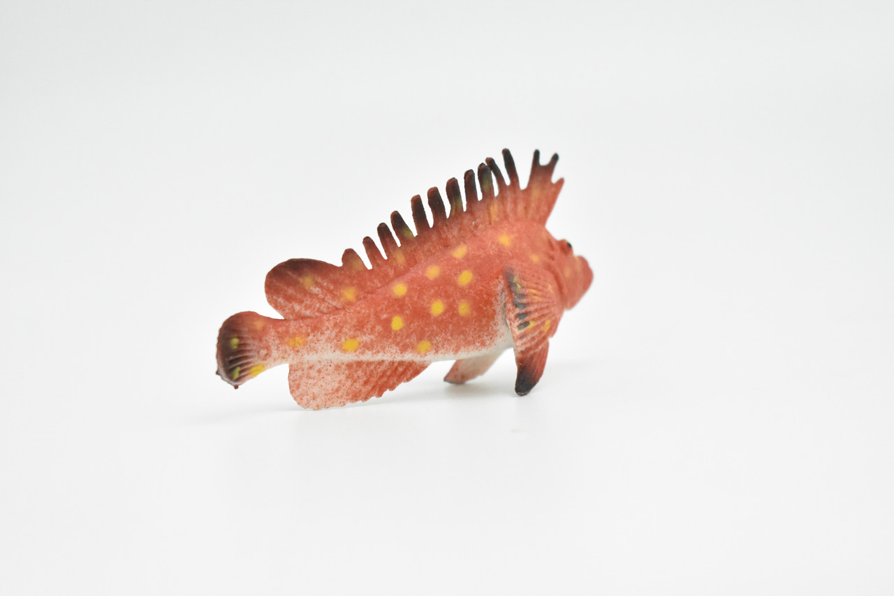 Spotted Kelpfish, Tropical Fish, Gibbonsia elegans, Hand Painted, Realistic, Plastic Fish Design, Saltwater, Educational, Lifelike, Diorama Model, Toy,  2 Inches. 