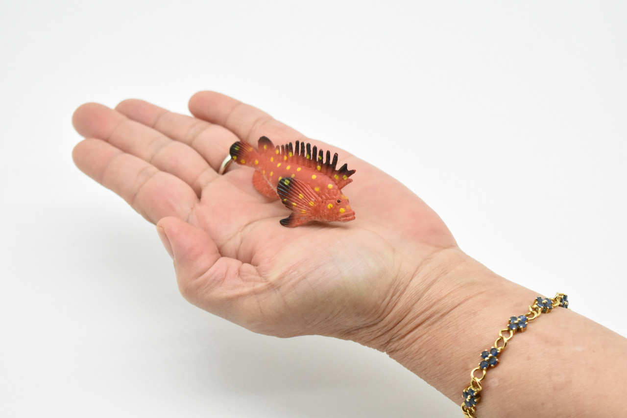 Spotted Kelpfish, Tropical Fish, Gibbonsia elegans, Hand Painted, Realistic, Plastic Fish Design, Saltwater, Educational, Lifelike, Diorama Model, Toy,  2 Inches. 