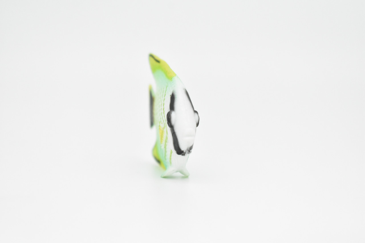 Angelfish, Tropical Fish, Pterophyllum, Ciclids, Hand Painted, Realistic, Plastic Fish Design, Saltwater, Educational, Lifelike, Diorama Model, Toy,  2 Inches.