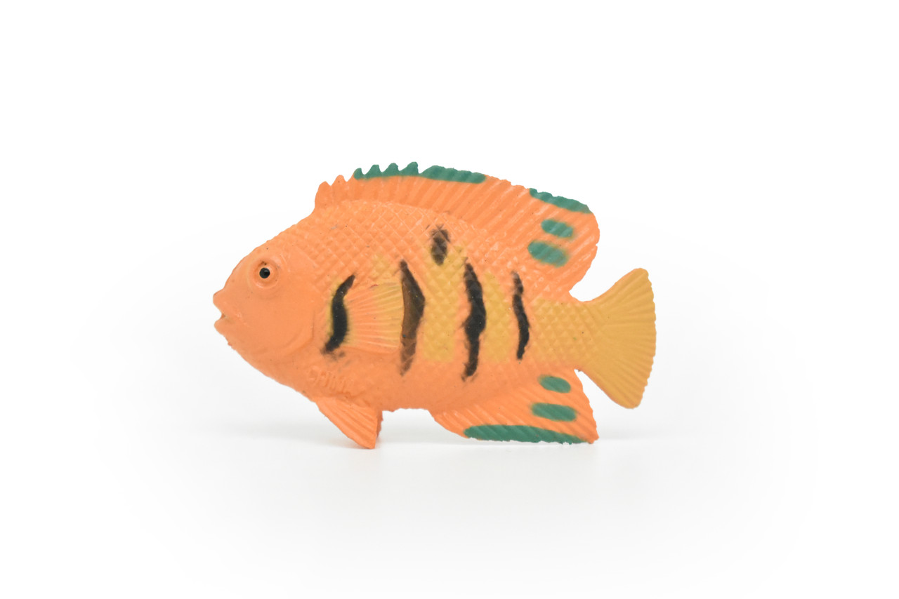 Angelfish, Flame, Tropical Fish, Pterophyllum, Ciclids, Hand Painted, Plastic Fish Design, Saltwater, Educational, Lifelike, Diorama Model, Toy, 2 Inches.