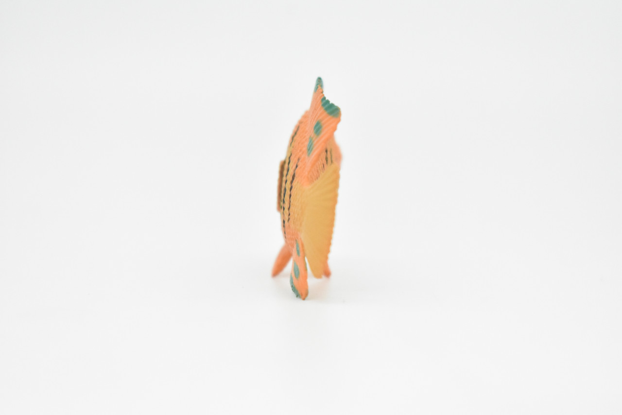 AngelFish, Flame, Pterophyllum, Ciclids, Plastic Fish Design, Realistic Figure, Educational, Lifelike, Toy Model, Figurine, Replica, Gift,   2"   CWG273 B46