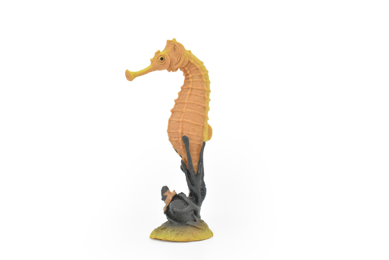 Seahorse, Hippocampus, Sea Horse, Very Nice Plastic Fish, Educational, Toy, Kids, Realistic Figure, Lifelike Model, Figurine, Replica, Gift,   3"    CWG274 B46