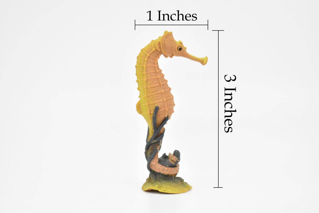 Seahorse, Hippocampus, Sea Horse, Very Nice Plastic Fish, Educational, Toy, Kids, Realistic Figure, Lifelike Model, Figurine, Replica, Gift,   3"    CWG274 B46