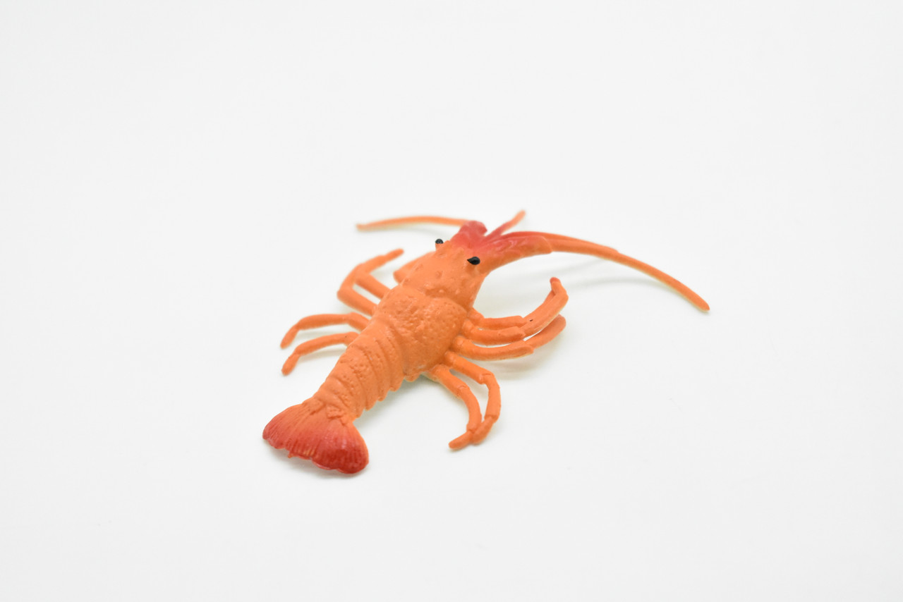 Lobster, California spiny lobster, Very Nice Plastic Fish, Educational,  Toy, Kids, Realistic Figure, Lifelike Model, Figurine, Replica, Gift, 3