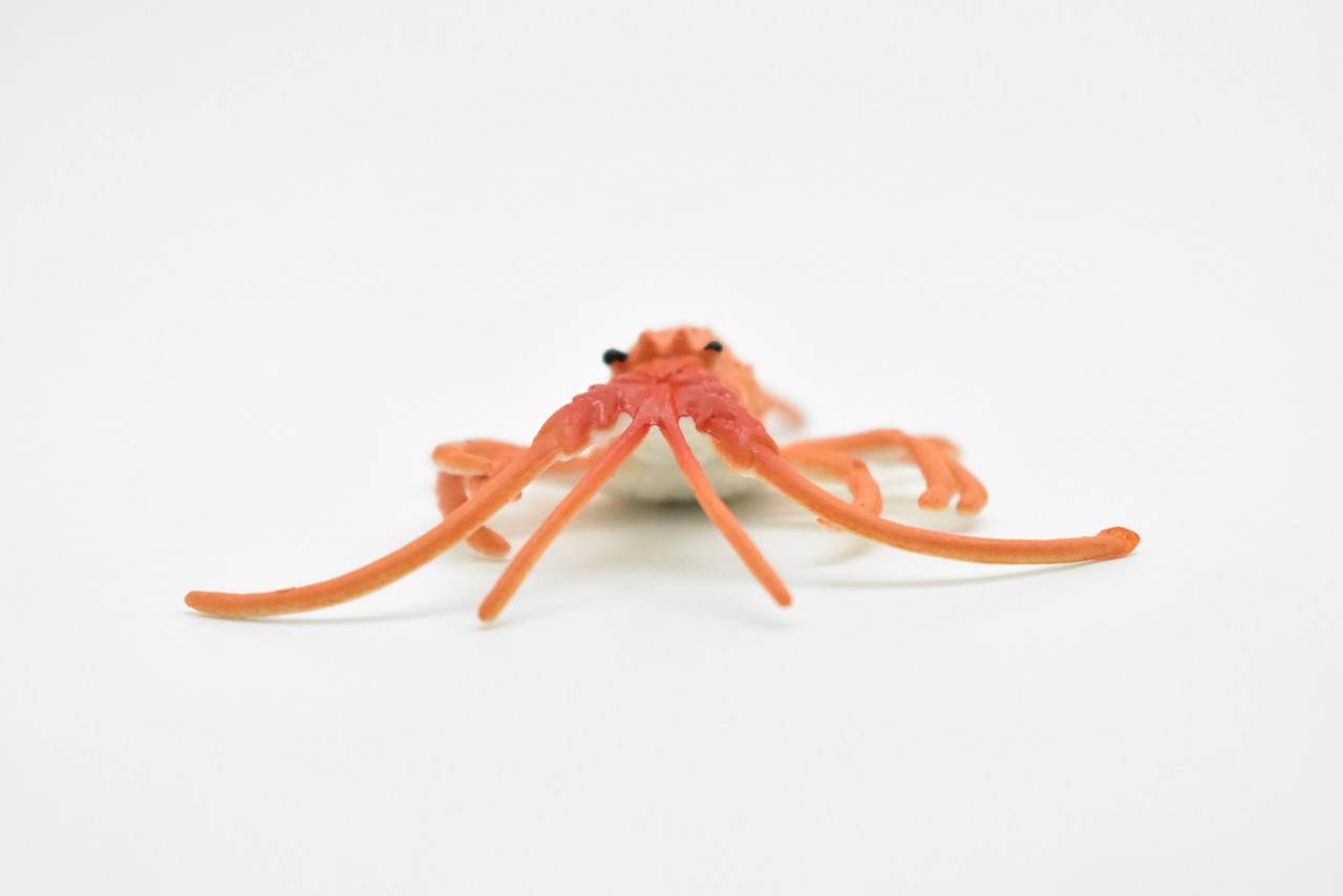 Lobster, California spiny lobster, Very Nice Plastic Fish, Educational, Toy, Kids, Realistic Figure, Lifelike Model, Figurine, Replica, Gift,     3"    CWG275 B46