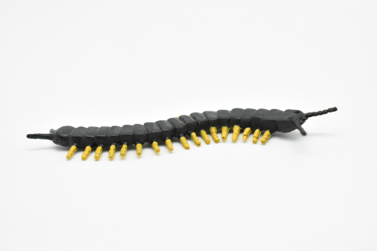 Centipede, Black, Very Nice Plastic Reproduction    3"    CWG296 B1