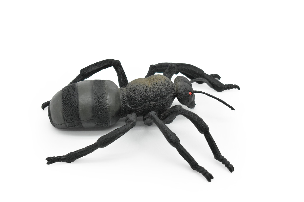 Ant, Carpenter Ant, Black, RubberInsect, Realistic Figure, Model, Replica, Toy, Kids, Educational, Gift,        6"       F2089-B493