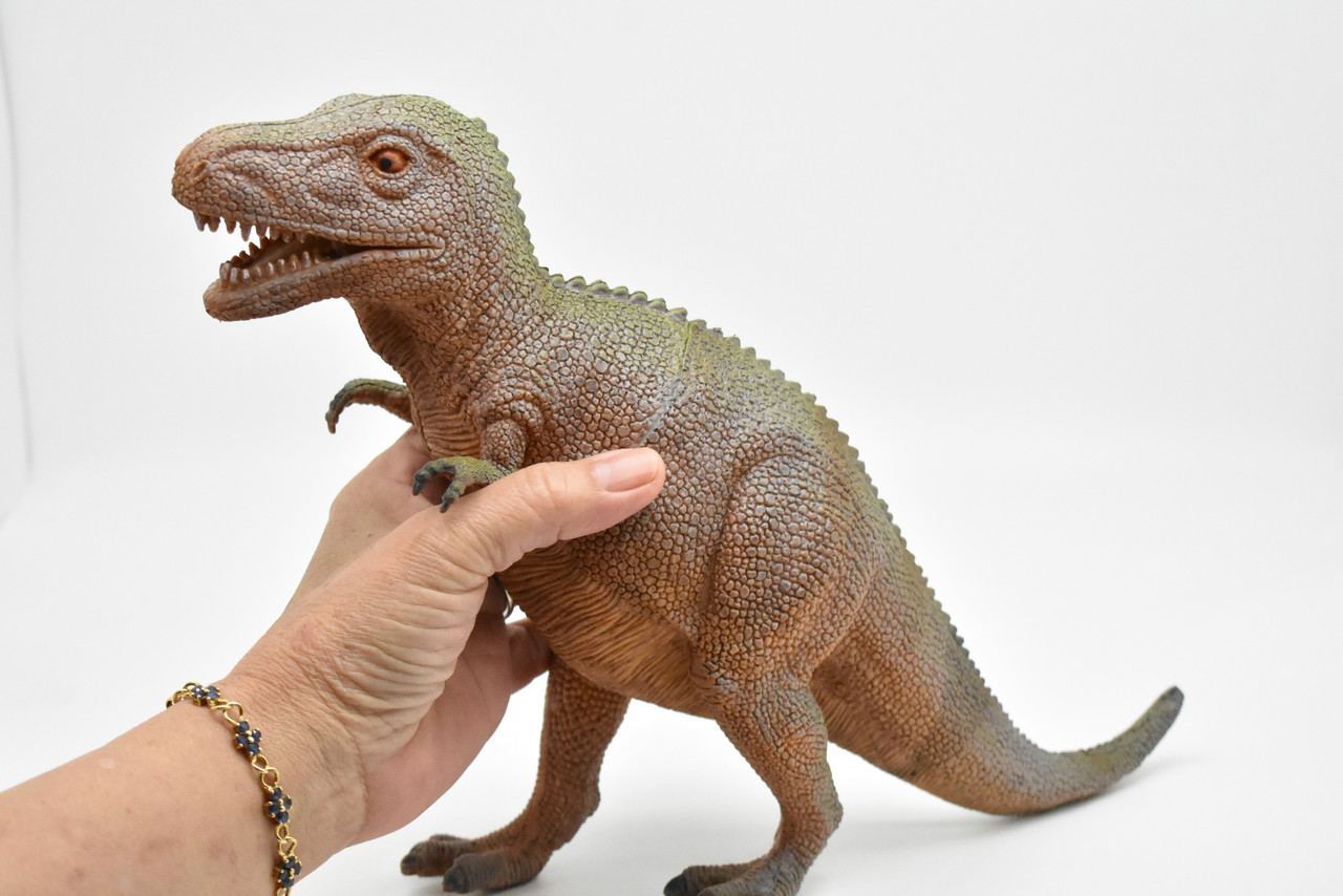 Tyrannosaurus, T- Rex Dinosaur, Figure, Model, Figurine, Educational, Animal, Kids, Gift Toy Plastic Replica,      14"        CWG162 BB38   