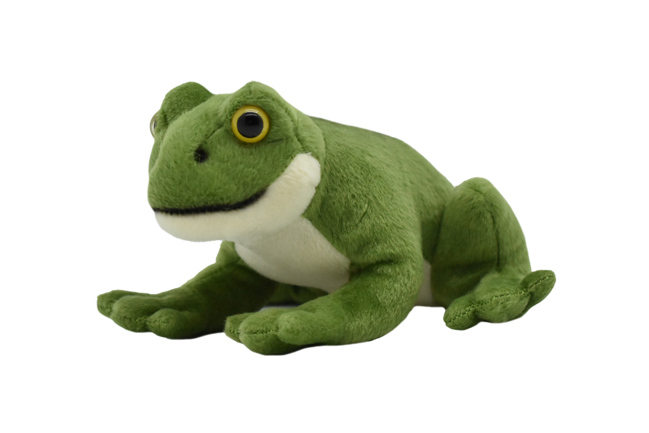 Frog, Realistic, Lifelike, Stuffed, Amphibian, Soft, Toy, Educational, Animal, Kids, Gift, Very Nice Plush Frog      8"