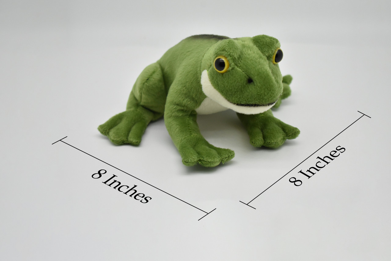 Frog, Realistic, Lifelike, Stuffed, Amphibian, Soft, Toy, Educational, Animal, Kids, Gift, Very Nice Plush Frog      8"