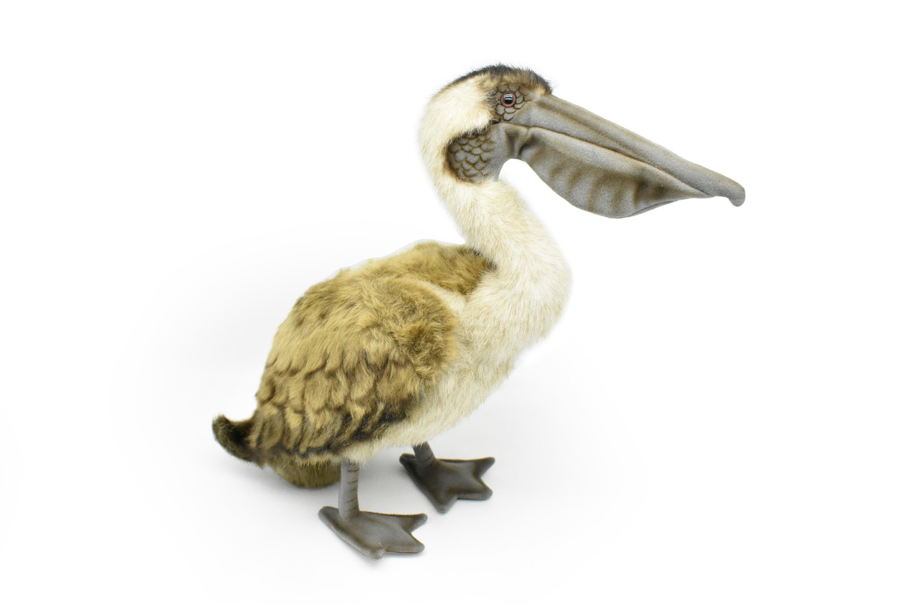 Pelican, Brown, Museum Quality Stuffed Bird Reproduction,   14"     F029 BB2