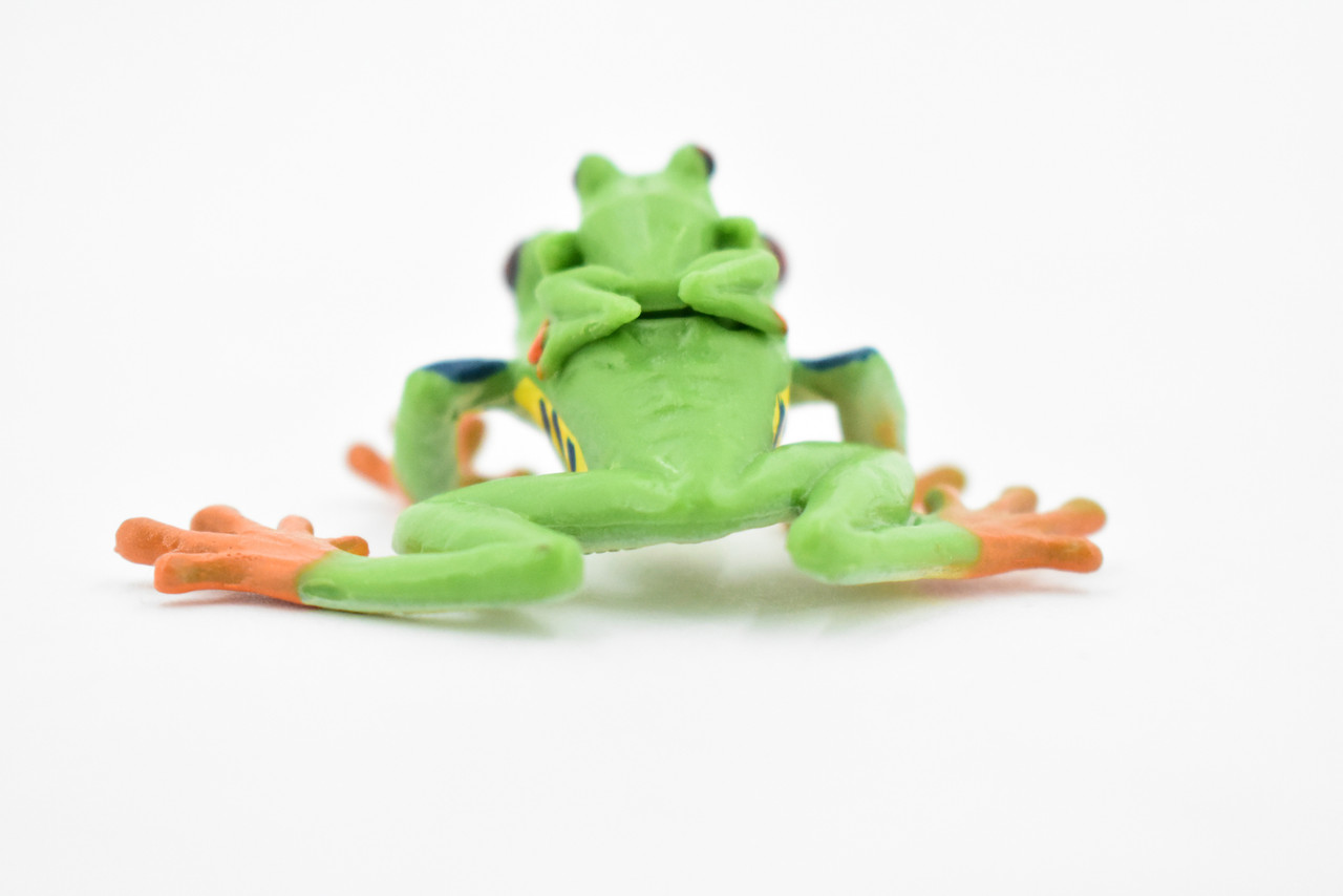 Red-Eyed Tree Frog, with Baby, Museum Quality Rubber Red-Eyed Tree Frog, with Baby, Museum Quality Rubber