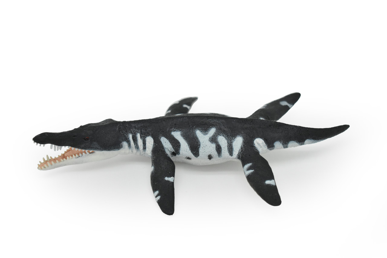 Liopleurodon, Plesiosaur, Marine Reptile, Museum Quality Plastic Reproduction Hand Painted  7"   SF02 B95