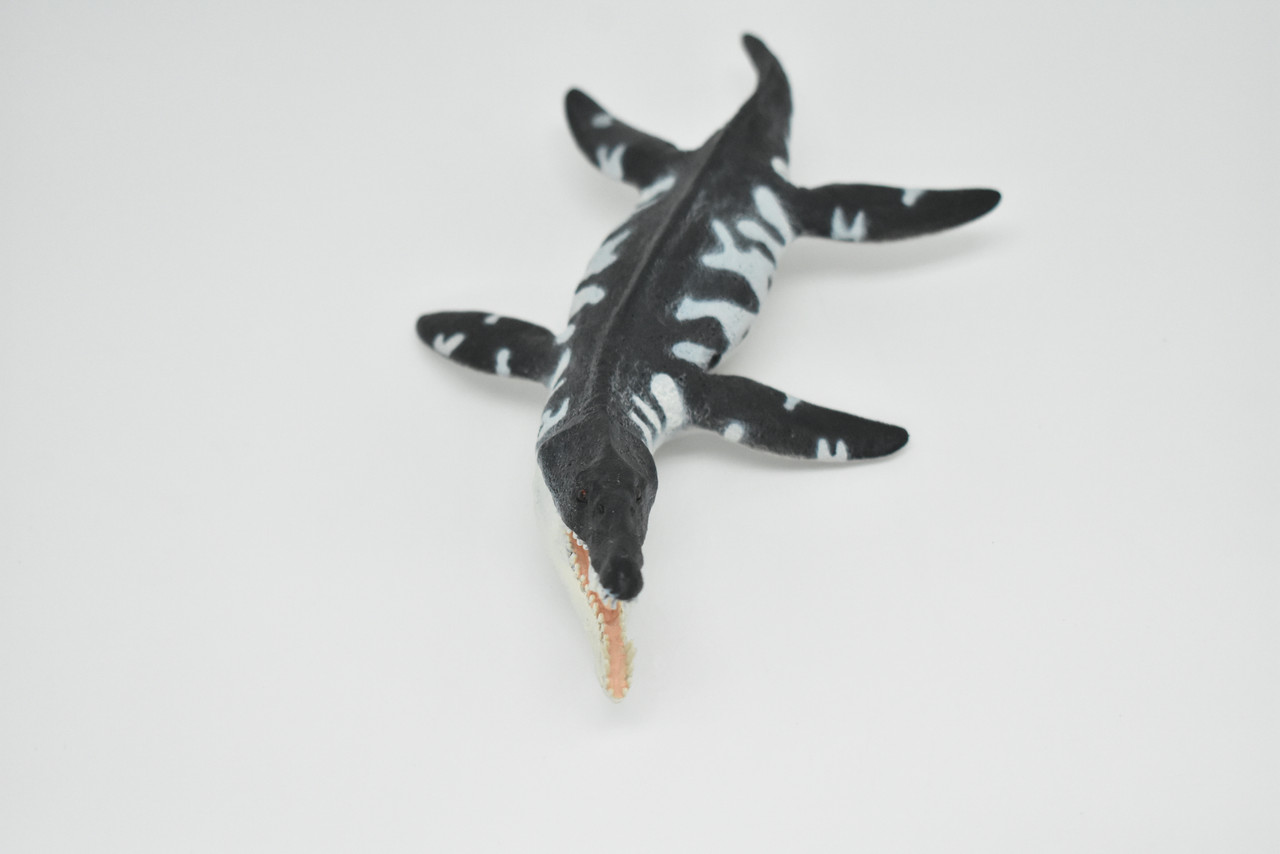 Liopleurodon, Plesiosaur, Marine Reptile, Museum Quality Plastic Reproduction Hand Painted  7"   SF02 B95