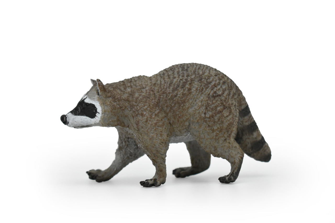 Plastic raccoon hotsell