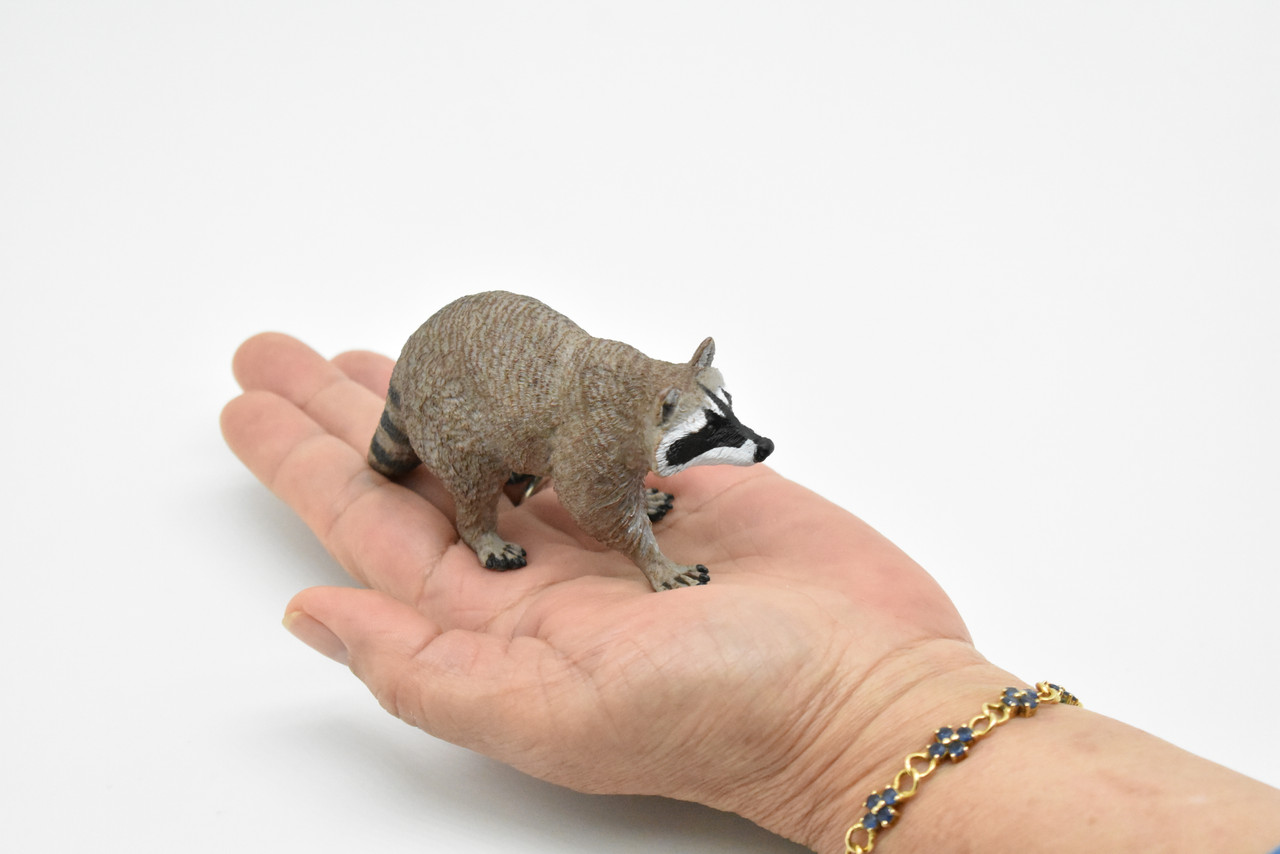 Raccoon, Museum Quality Plastic Animal, Educational, Toy, Kids, Realistic Hand Painted Figure, Lifelike Model, Figurine, Replica, Gift,     4"     SF03 B67