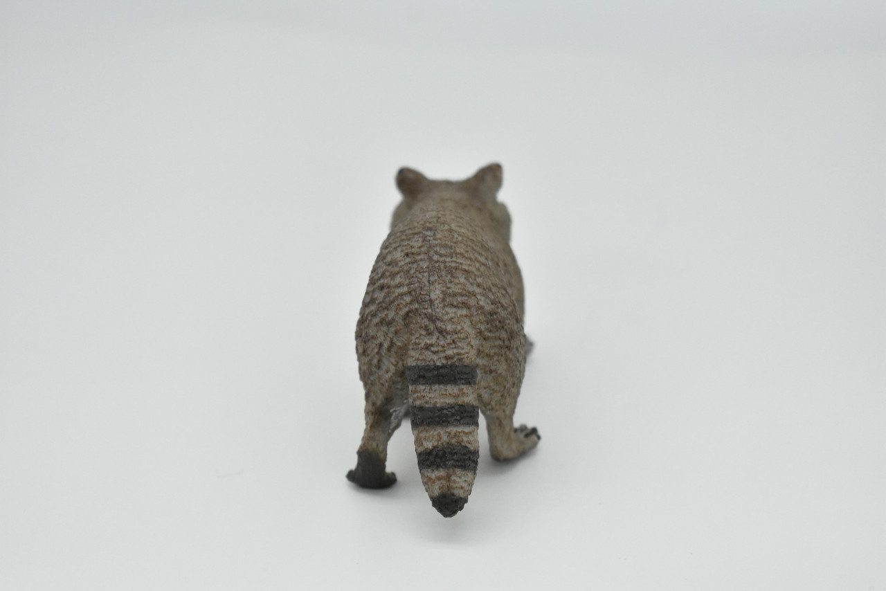 Raccoon, Museum Quality Plastic Animal, Educational, Toy, Kids, Realistic Hand Painted Figure, Lifelike Model, Figurine, Replica, Gift,     4"     SF03 B67