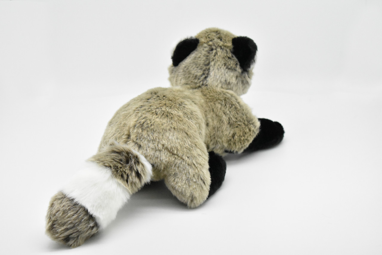 dakin raccoon