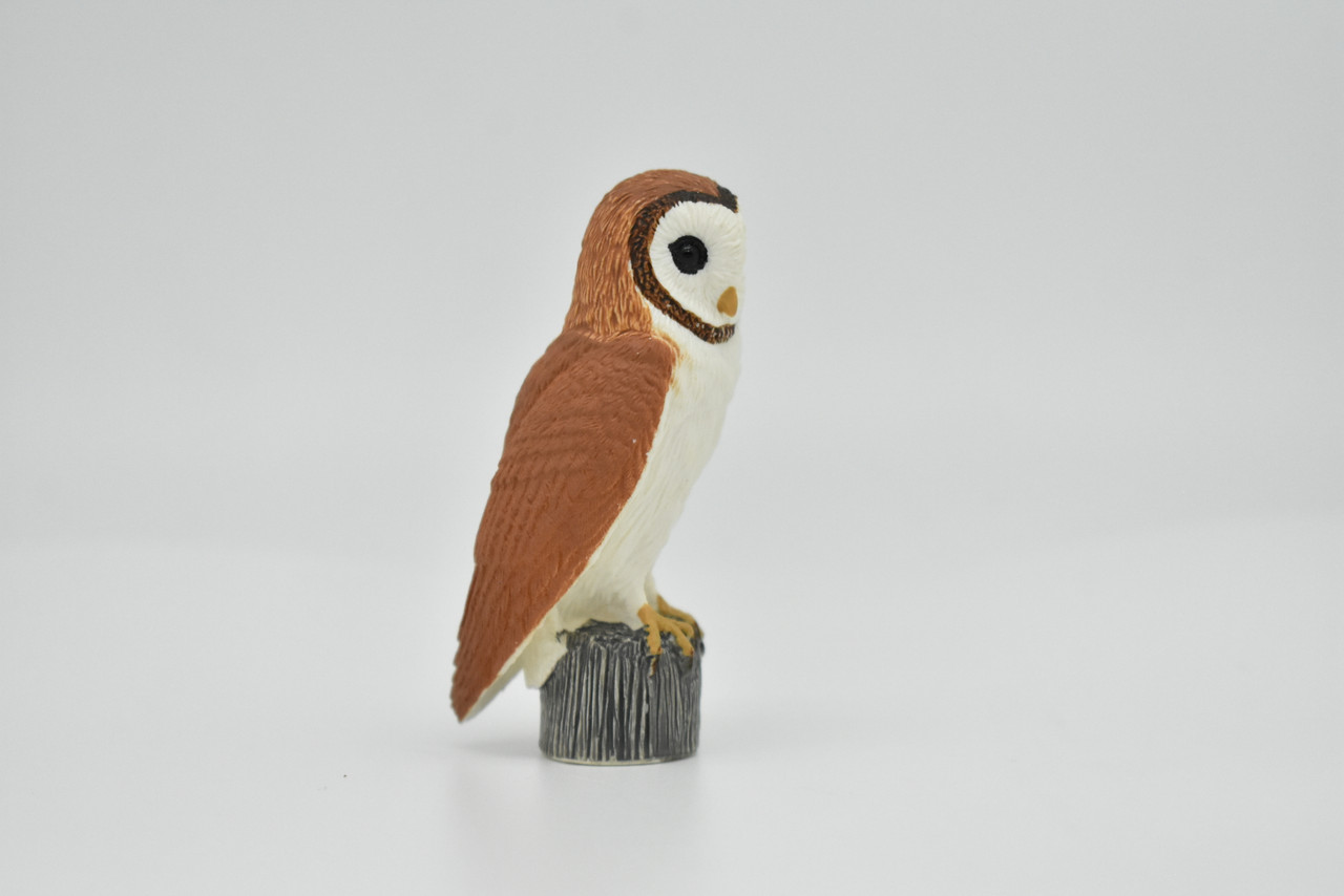 Barn Owl, Museum Quality Plastic Reproduction Hand Painted     2 1/2"    F1344 B6