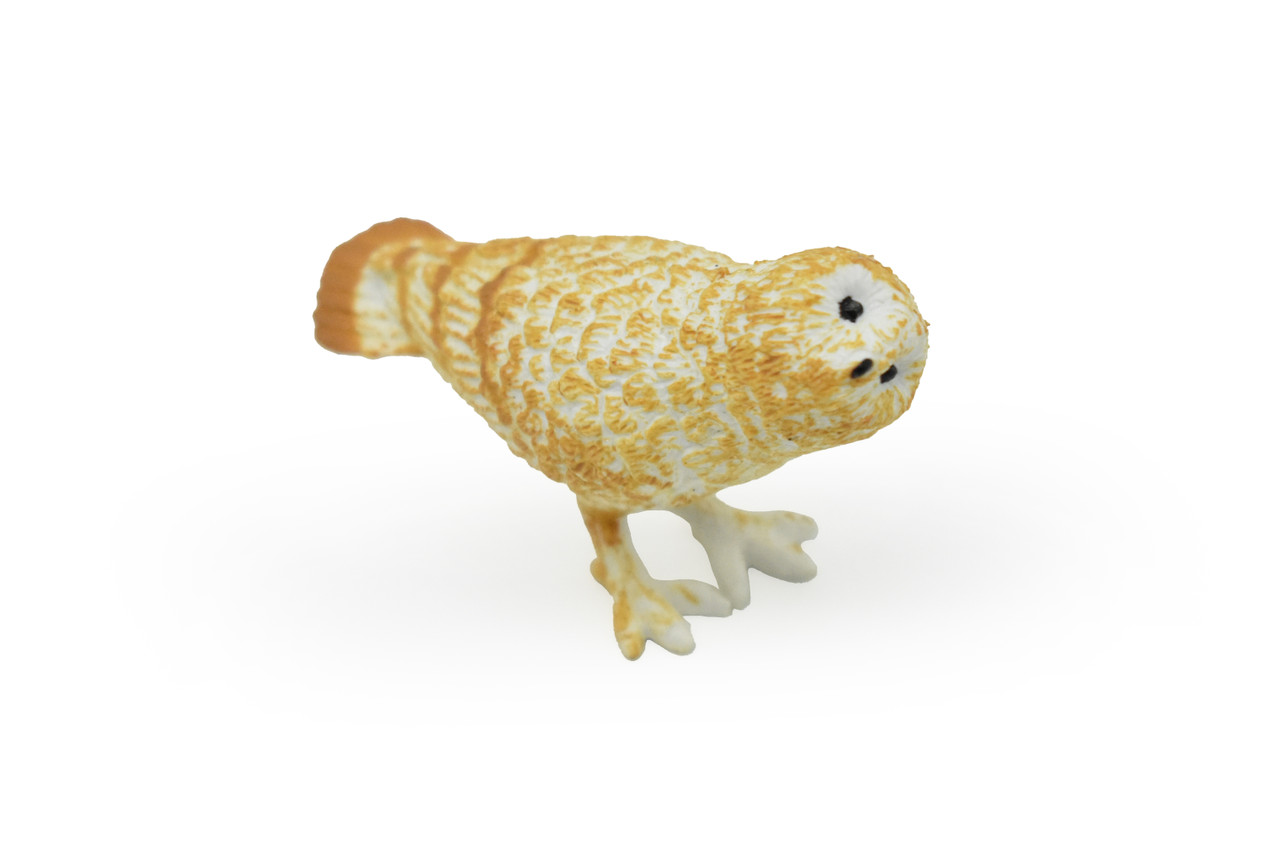 Barn Owl, Very Nice Plastic Figure, Hand Painted, Educational, Diorama, Realistic Figure, Lifelike, Replica, Toy, Kids,  2 Inches. 