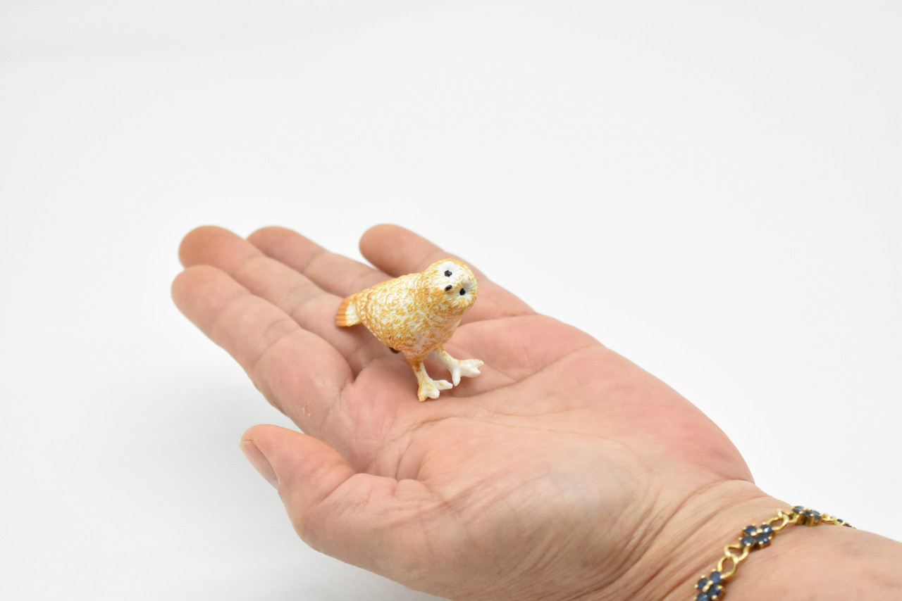 Barn Owl, Very Nice Plastic Figure, Hand Painted, Educational, Diorama, Realistic Figure, Lifelike, Replica, Toy, Kids,  2 Inches. 