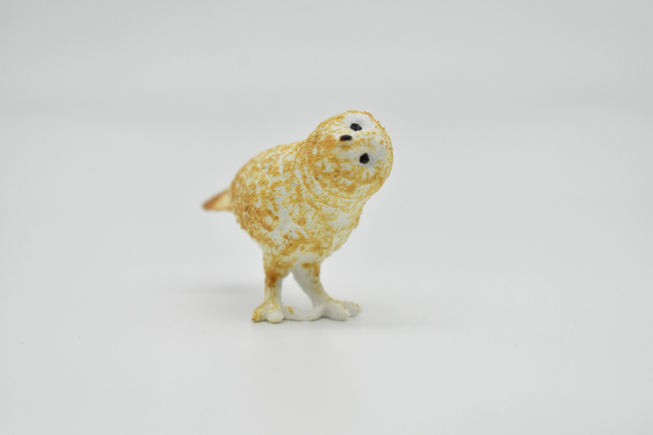 Barn Owl, Very Nice Plastic Figure, Hand Painted, Educational, Diorama, Realistic Figure, Lifelike, Replica, Toy, Kids, Gift,   2 Inches.   F1354 B9