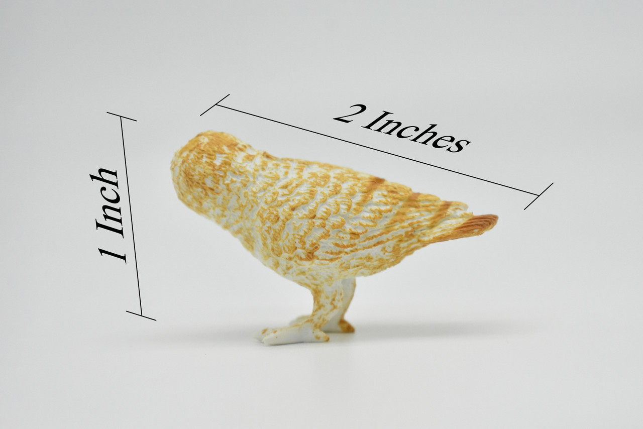 Barn Owl, Very Nice Plastic Figure, Hand Painted, Educational, Diorama, Realistic Figure, Lifelike, Replica, Toy, Kids,  2 Inches. 