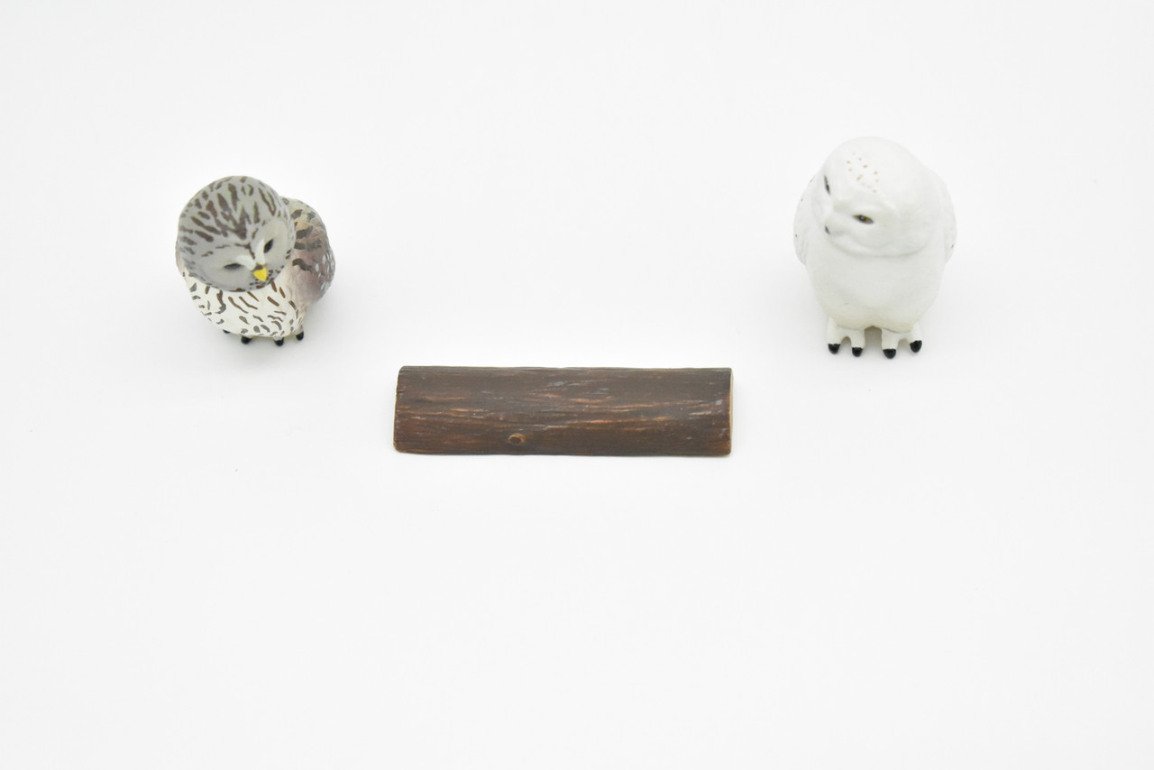Snowy Owl, Set of 2, Very Nice Rubber Birds, Hand Painted, Educational, Diorama, Realistic Figure, Lifelike, Replica, Toy, Kids, Gift,   2 Inches.    F090 B383